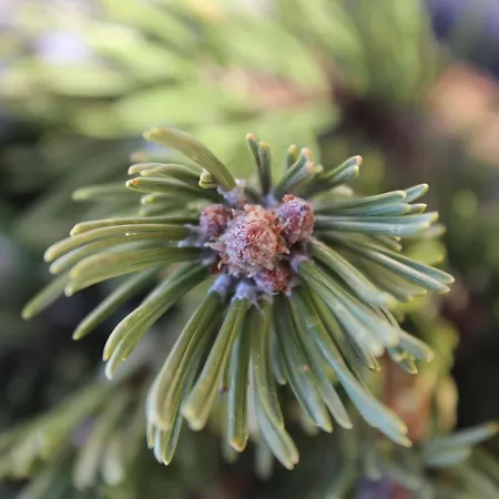 Almidylle In Sankt Martin Am Tennengebirge By Interhome *