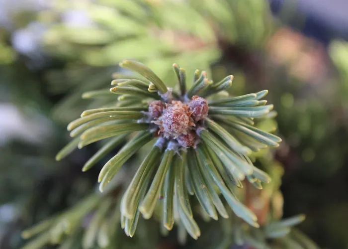 Almidylle In Sankt Martin Am Tennengebirge By Interhome *